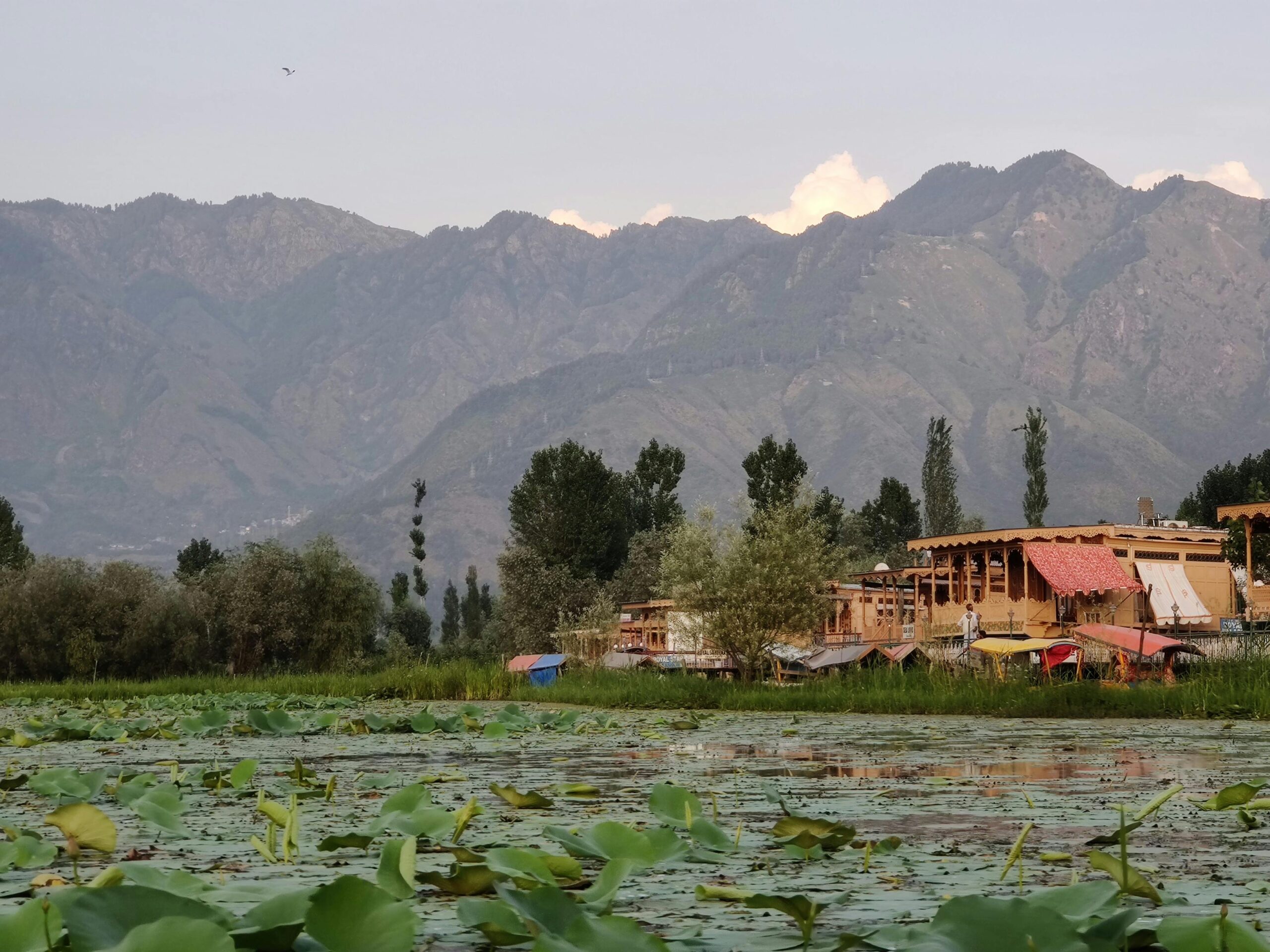 Dal Lake Srinagar